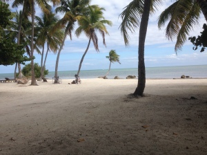 A beautiful beach in Islamadora Key.